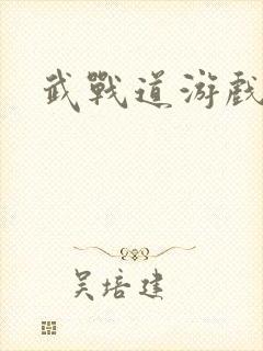 武战道游戏