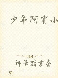 少年阿宾小说