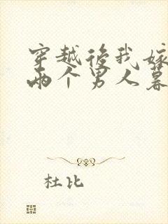 穿越后我嫁给了两个男人暮色酒歌