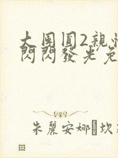 大团圆2亲情会闪闪发光免费