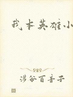 我本英雄小说