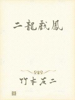 二龙戏凤
