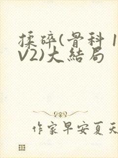 揉碎(骨科 1V2)大结局