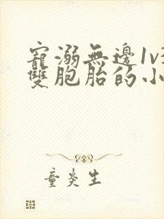 宠溺无边1v3双胞胎的小说