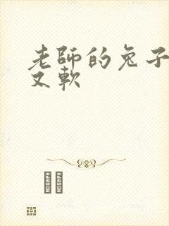 老师的兔子又大又软