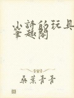 小诗的玩具日记笔趣阁