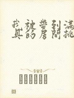 我被带到满是玩具的房间挑调作文