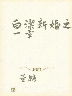 白洁新婚之夜第一章