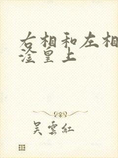 右相和左相一起淦皇上