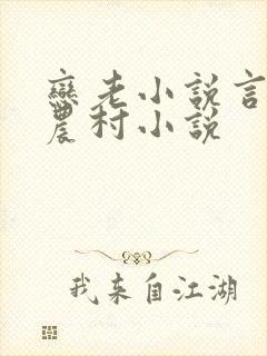 恋老小说言情网农村小说