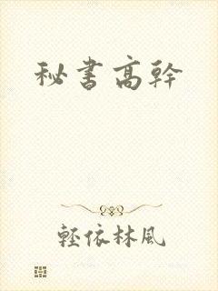秘书高干