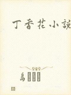 丁香花小说