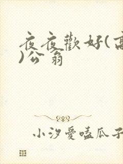 夜夜欢好(高h)公翁