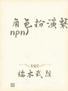 角色扮演系统(npn)
