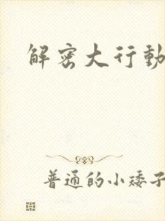 解密大行动