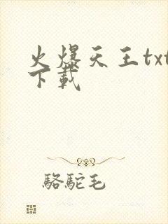 火爆天王txt下载