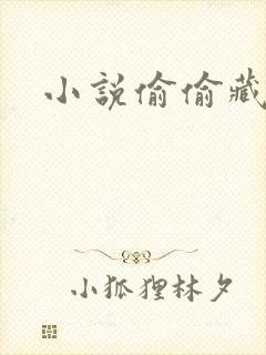 小说偷偷藏不住