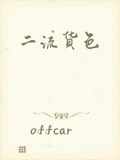 二流货色