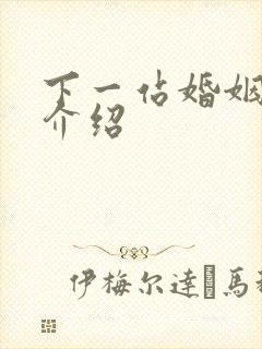 下一站婚姻剧情介绍