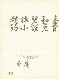 赵锦儿和秦慕修的小说免费阅读全文