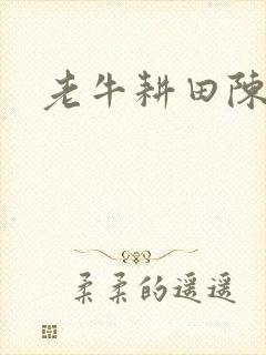 老牛耕田陈雪