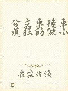 公交车后车座的疯狂的做小