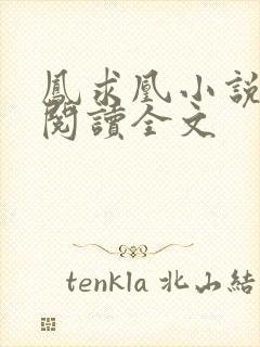 凤求凰小说免费阅读全文