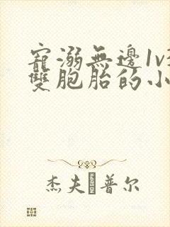 宠溺无边1v3双胞胎的小说