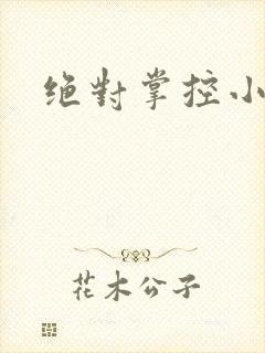 绝对掌控小说