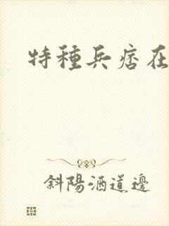 特种兵痞在都市