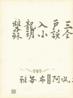 双龙入户三人行苏玥小说全文阅读
