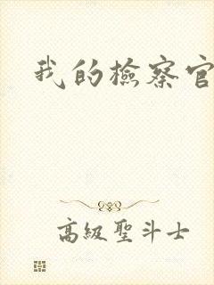 我的检察官先生