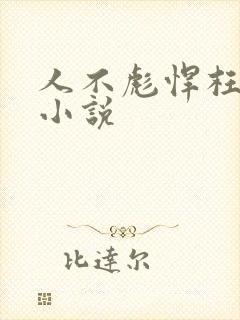 人不彪悍枉少年小说