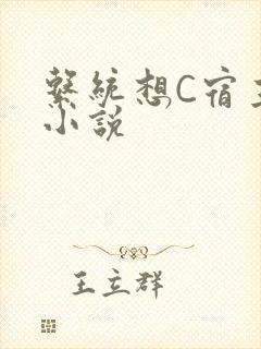 系统想C宿主的小说