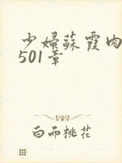 少妇苏霞肉欲第501章