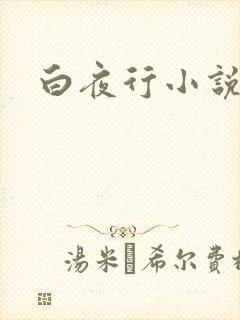 白夜行小说下载