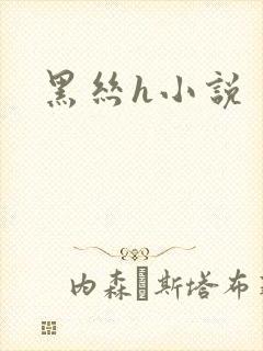 黑丝h小说