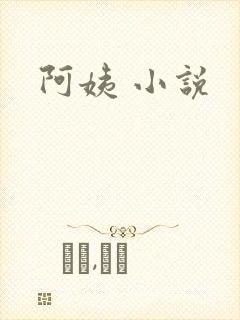 阿姨 小说