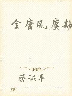 金庸风尘劫