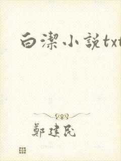 白洁小说txt