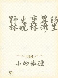 野火变异的父爱林晚林潮生