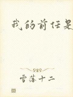 我的前任是极品