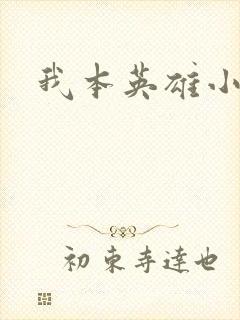 我本英雄小说