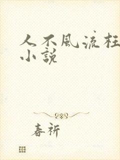 人不风流枉少年小说
