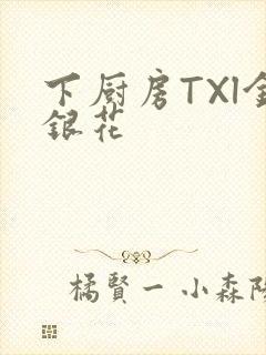 下厨房TXl金银花