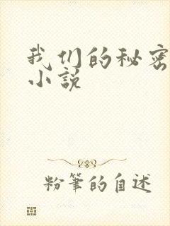 我们的秘密泰剧小说