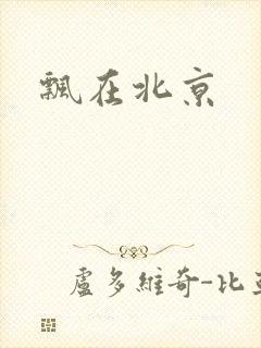 飘在北京