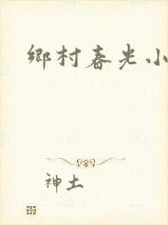乡村春光小说