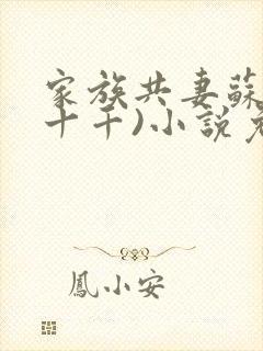 家族共妻苏苏(十千)小说免费