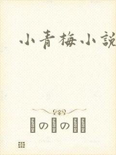 小青梅小说